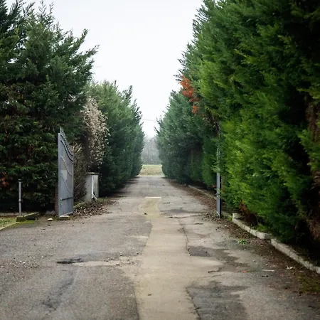 فندق Conte Luna 3*