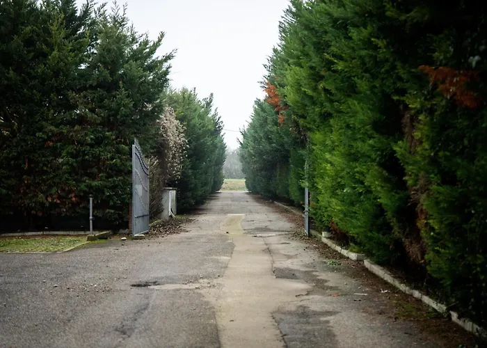 Отель Conte Luna 3*