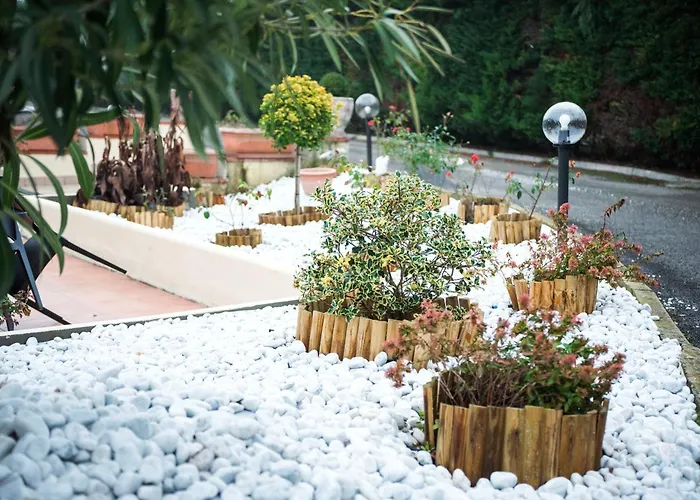 Conte Luna Болонья